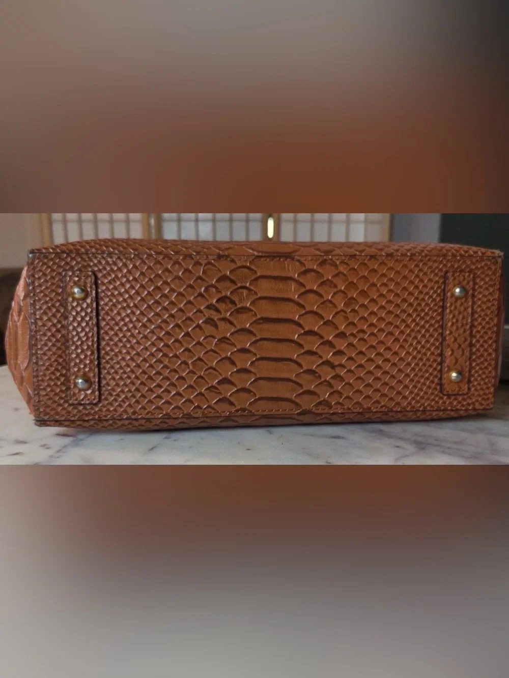 Dooney & Bourke Brown Python-Embossed Leather Tote with Gold Hardware